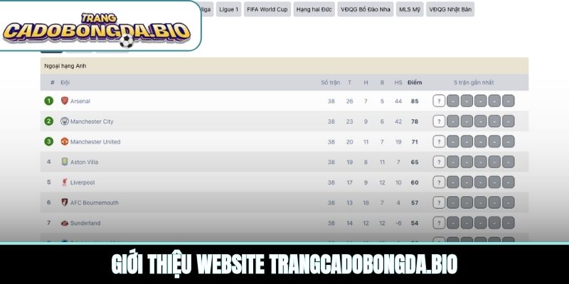 Giới thiệu website sxf.io