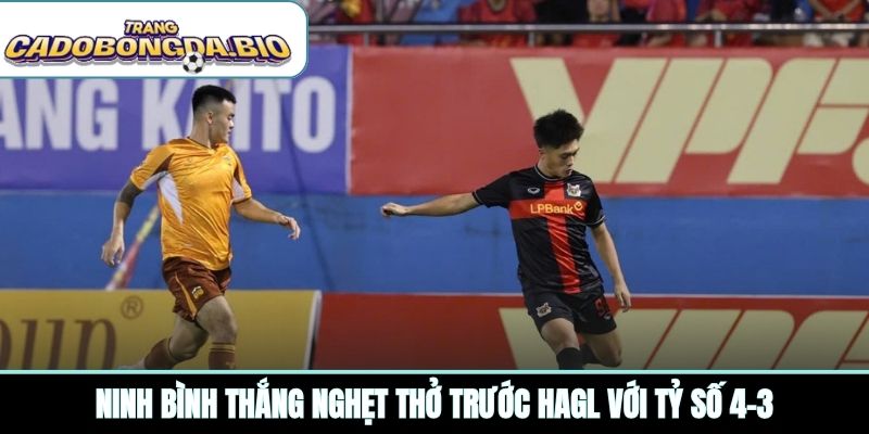 Ninh Bình thắng nghẹt thở trước HAGL với tỷ số 4-3